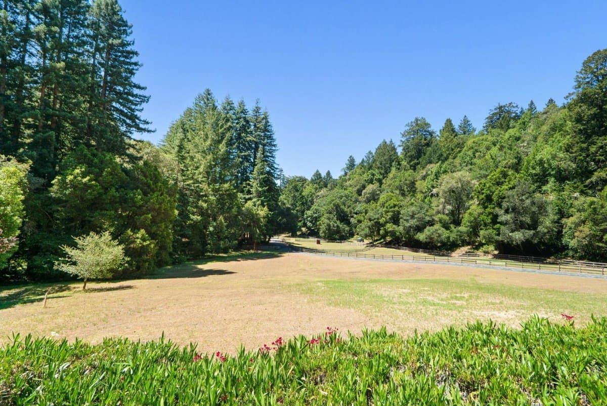 2800 Lockhart Gulch - Photo 3