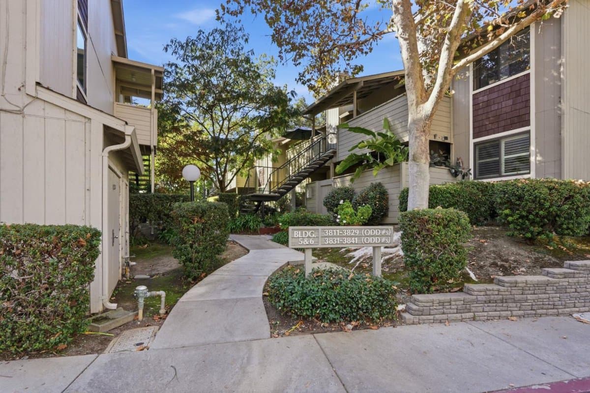 3833 Panda Drive - Photo 2