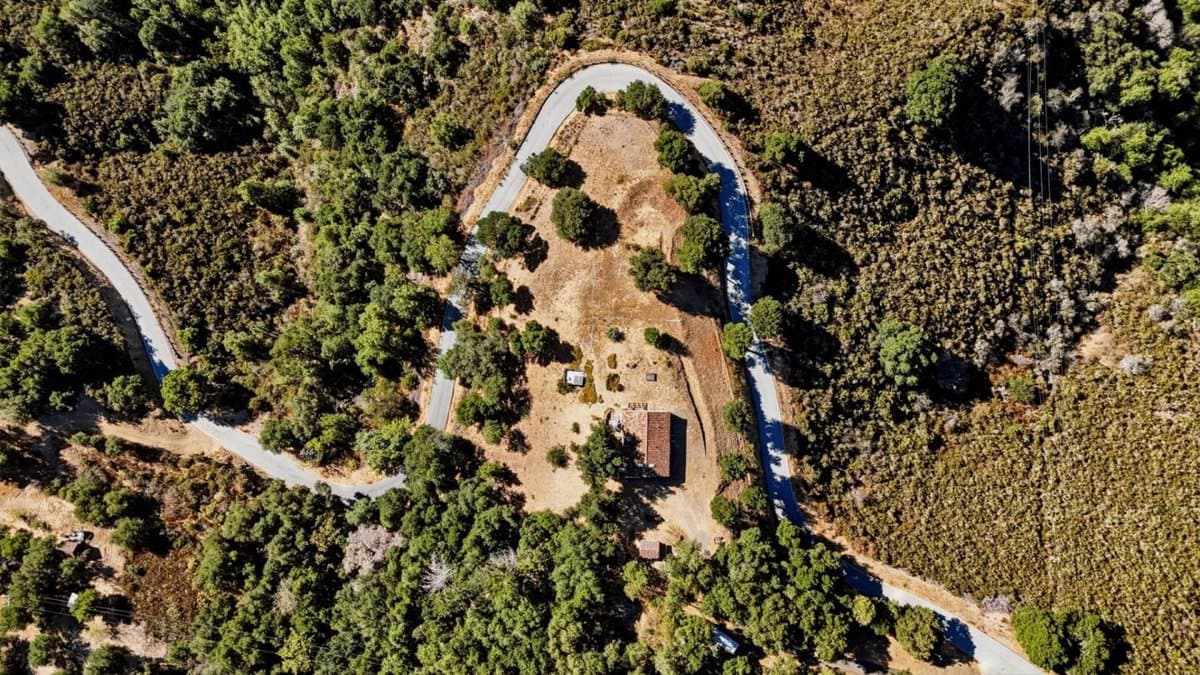 19375 Montevina Road - Photo 4