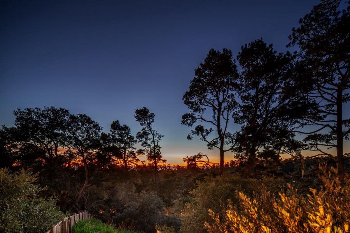 24694 Dolores Street - Photo 5