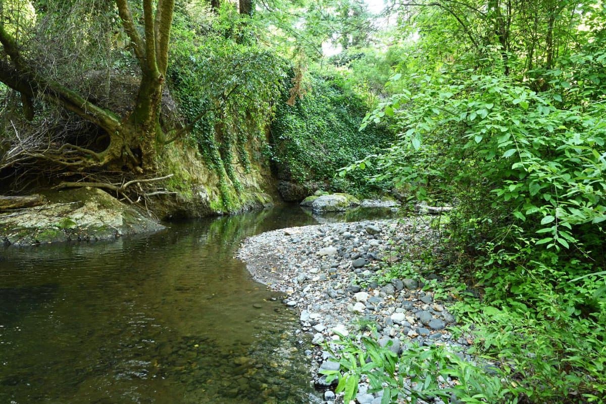 6975 La Honda Road - Photo 3