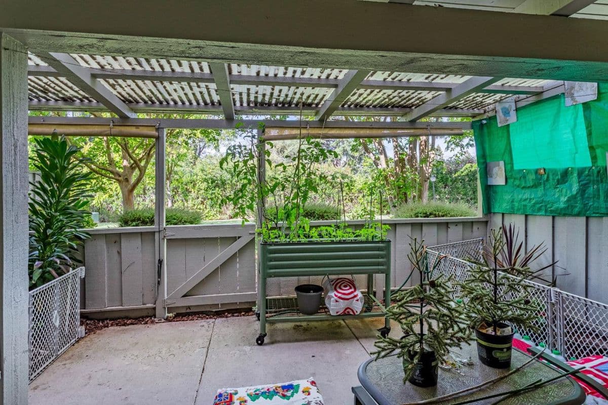 5414 Cribari Court - Photo 3