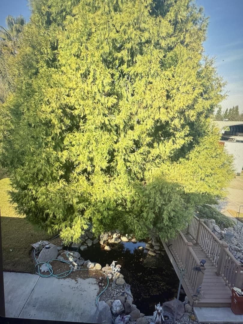 5086 Moran Avenue - Photo 5