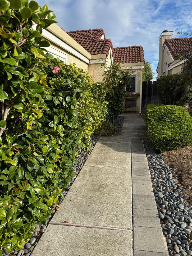 147 Dolphin Circle - Photo 2