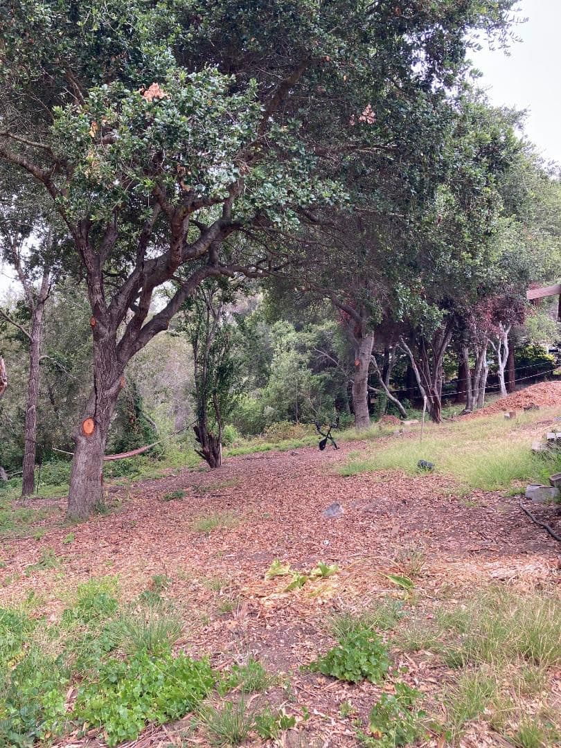 514 Meder Street - Photo 2