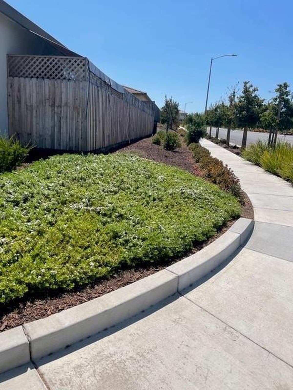 2001 Wildflower Drive - Photo 2