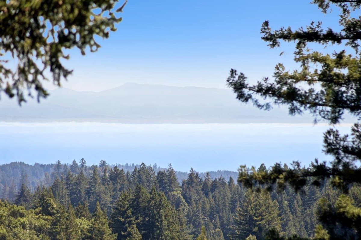 600 Ridge Top Road - Photo 3
