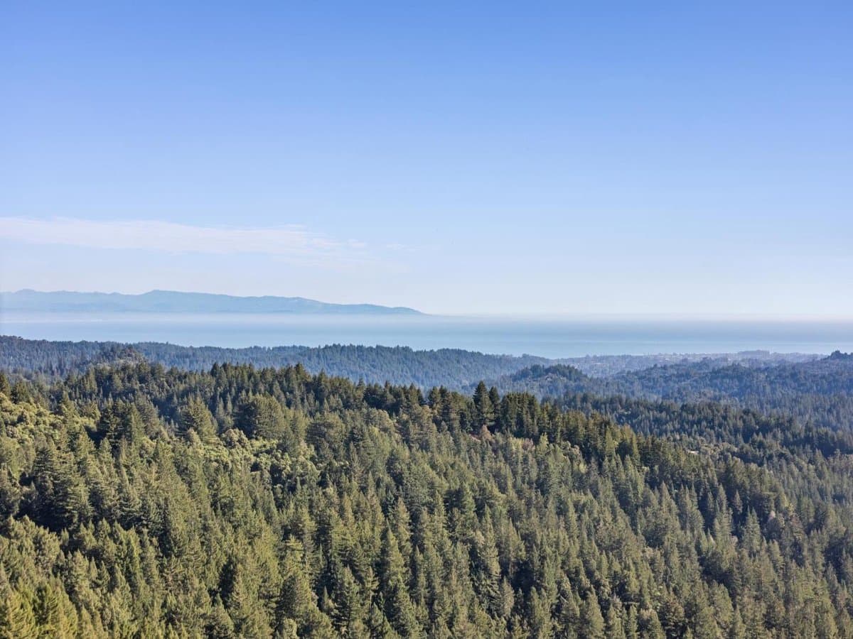 600 Ridge Top Road - Photo 4