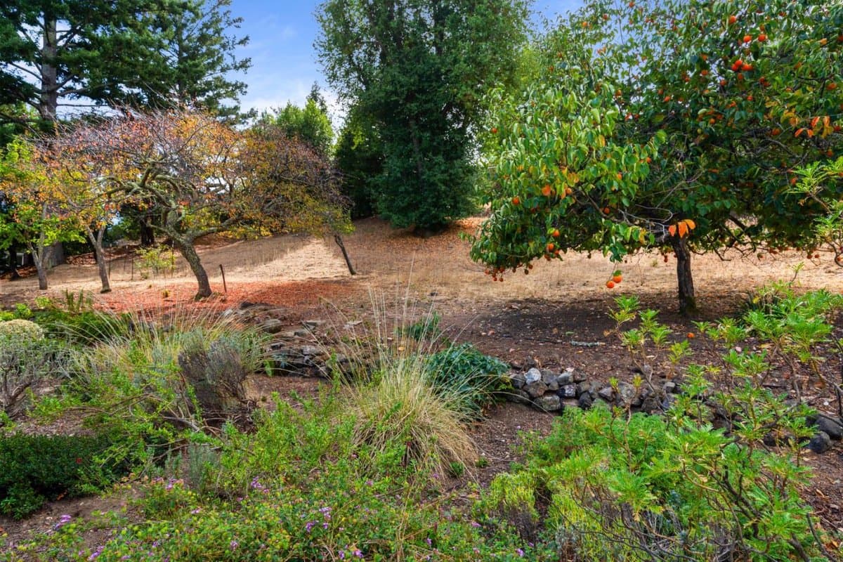 205 Old Spanish Trail - Photo 2