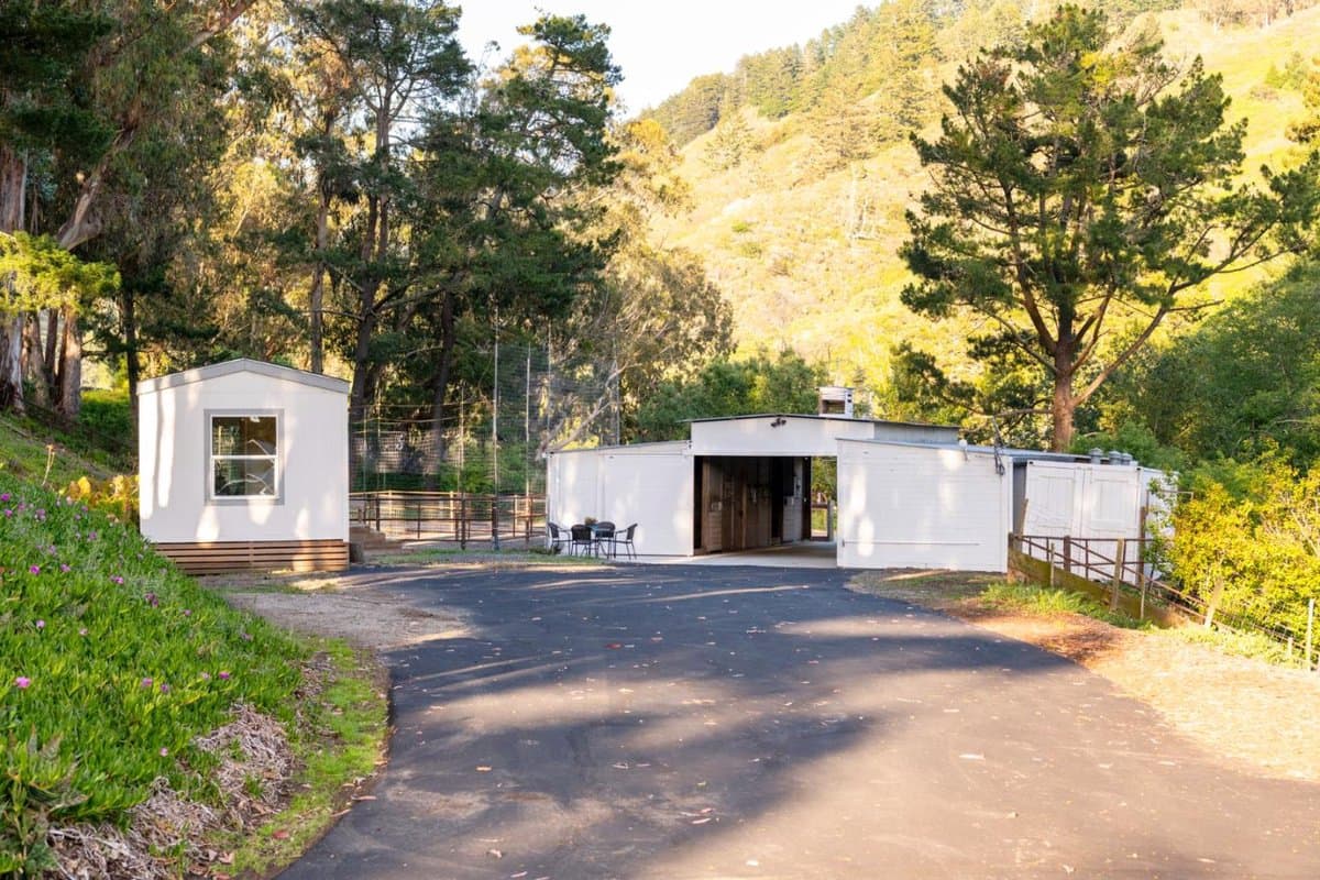 2570 Purisima Creek Road - Photo 4