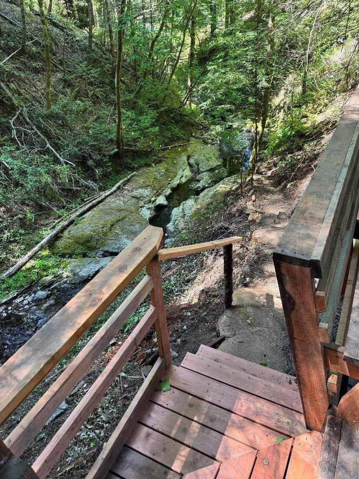 14251 Pescadero Creek Road #4 - Photo 4