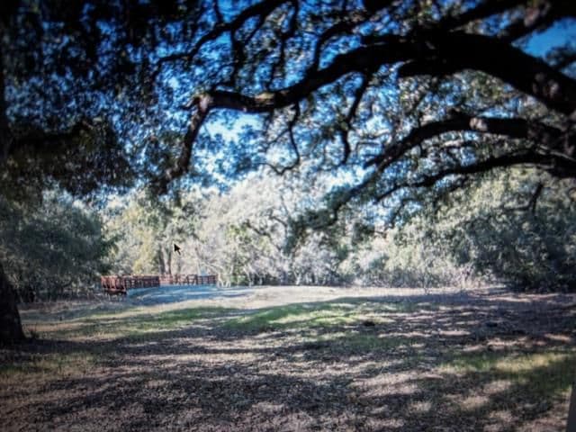 3343 Alpine Road - Photo 2
