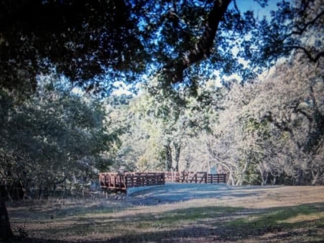 3343 Alpine Road - Photo 3