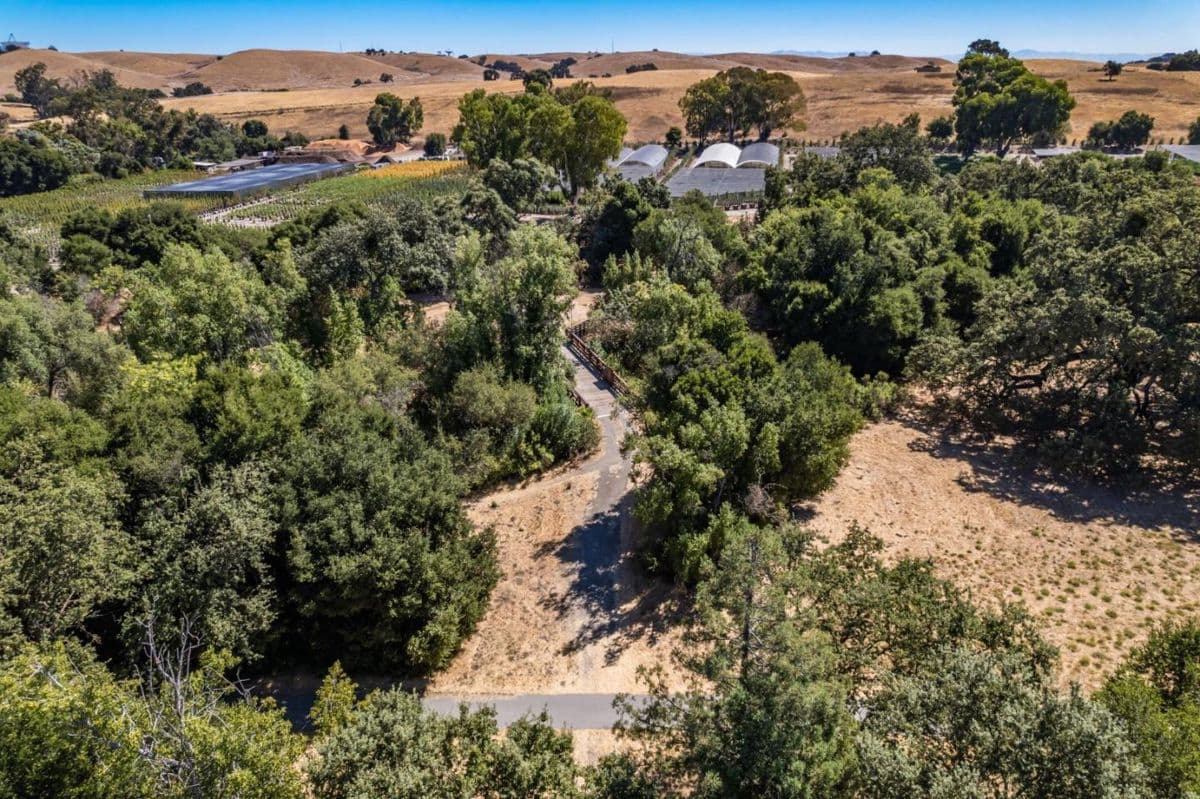 3343 Alpine Road - Photo 4