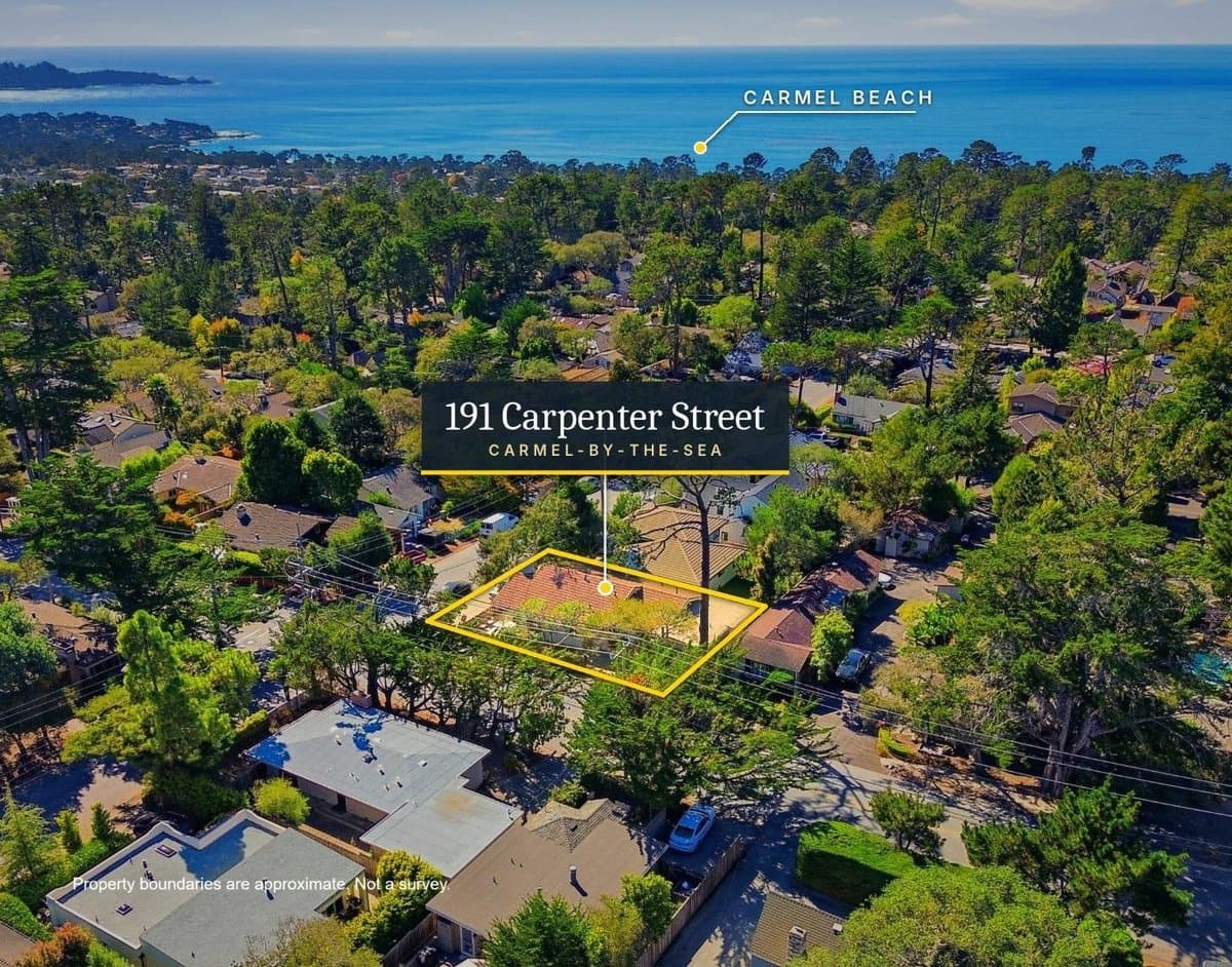 191 Carpenter Street - Photo 1