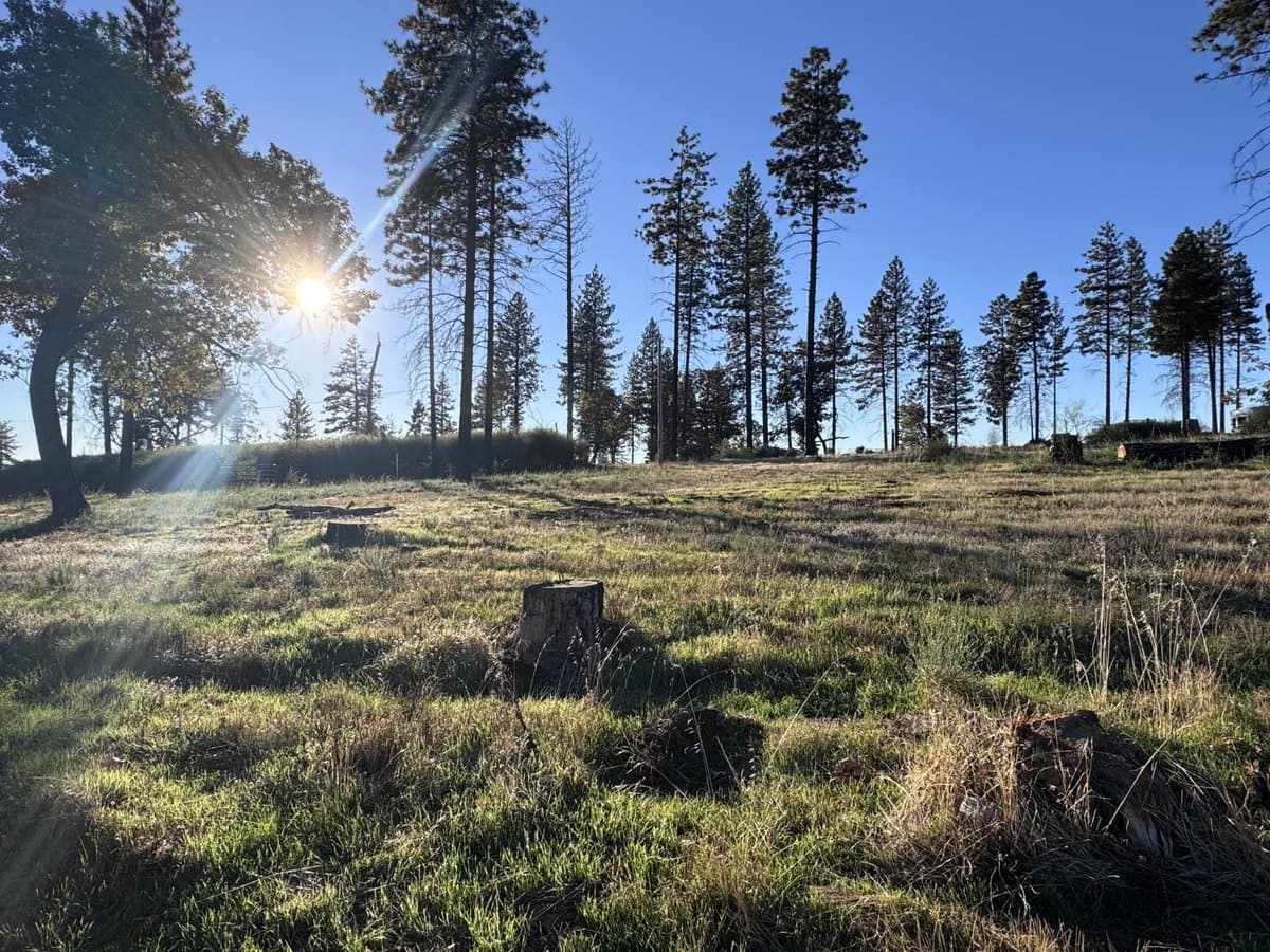 12168 Granite Ridge Road - Photo 4