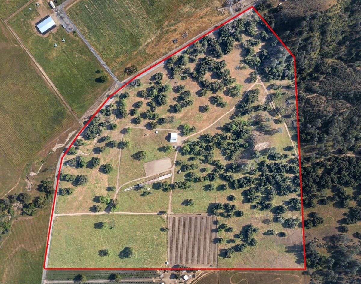 770 Limekiln Road - Photo 2