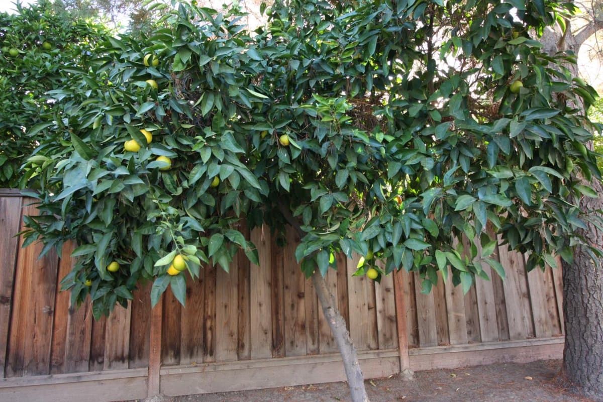 6076 Ashburton Drive - Photo 4
