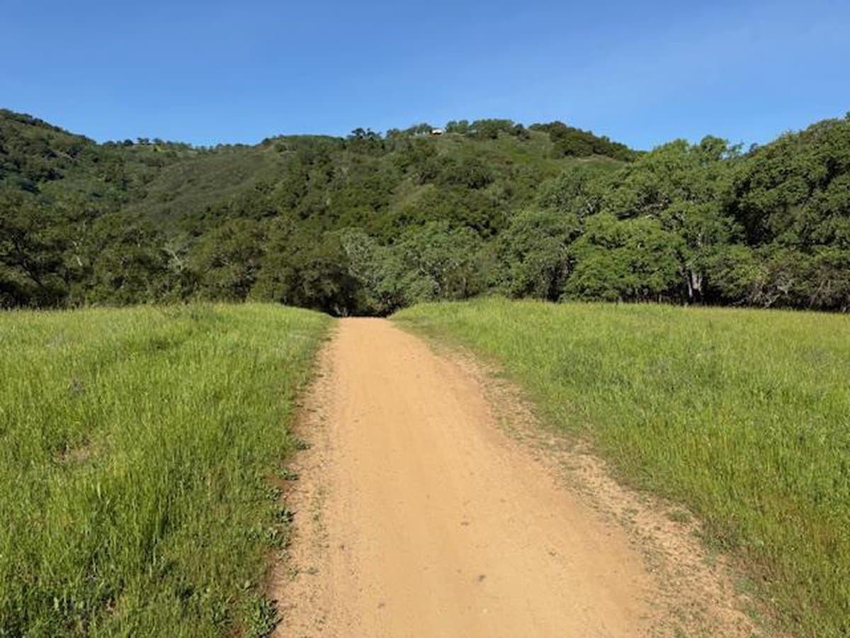 00 Cinnabar Hills Road - Photo 3