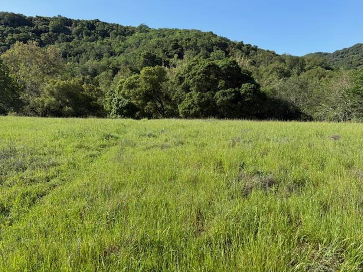 00 Cinnabar Hills Road - Photo 4