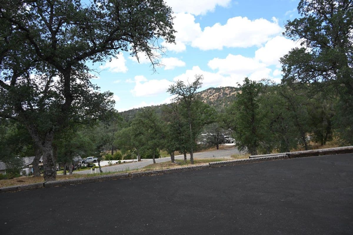 42924 Deep Forest Drive - Photo 3