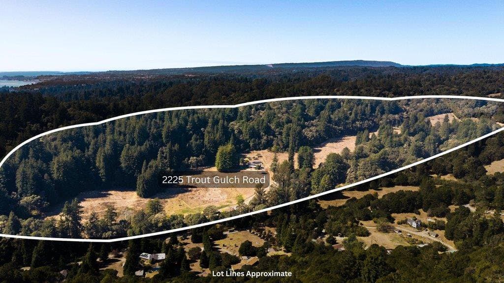 2225 Trout Gulch Road - Photo 5