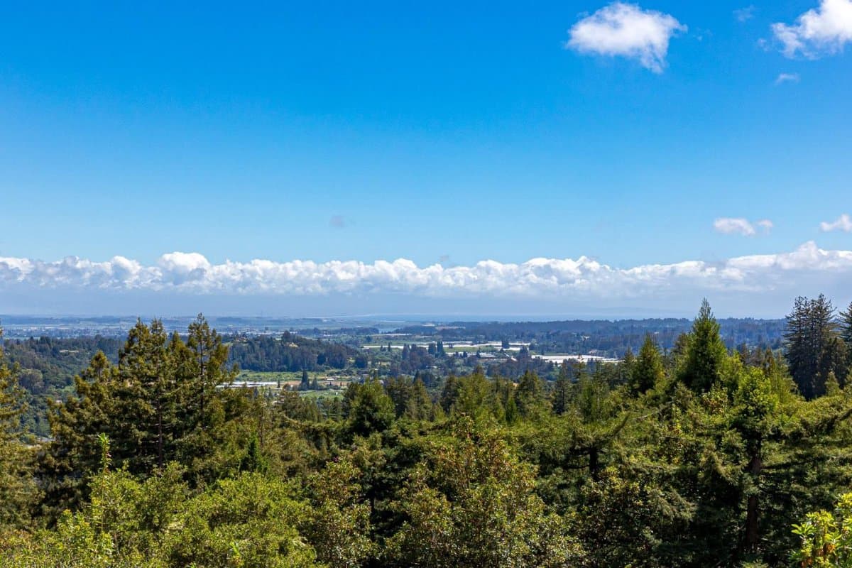1081 Avocado Road - Photo 4