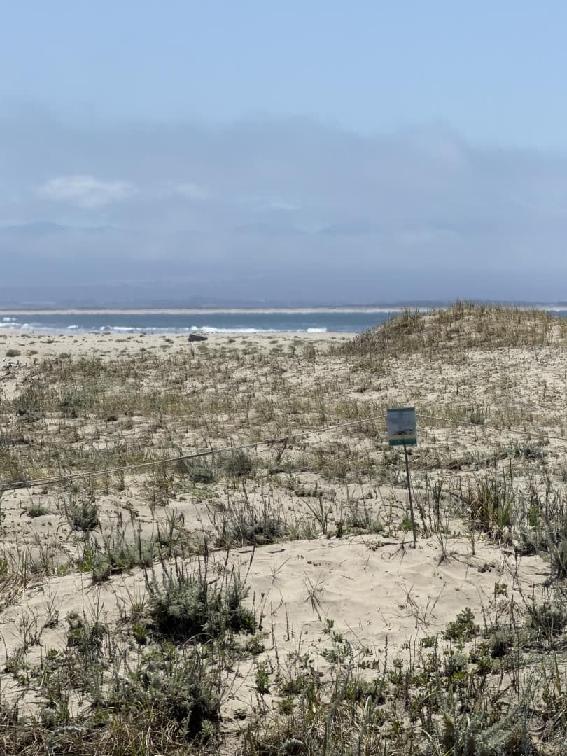 73 Pelican Point - Photo 2