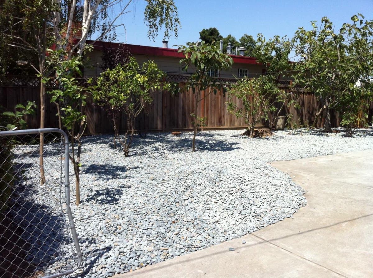 541 Madera Avenue - Photo 3
