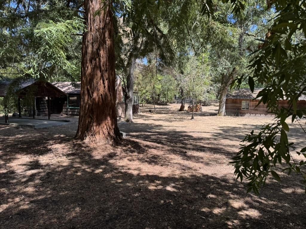 245 Bonita Road - Photo 3