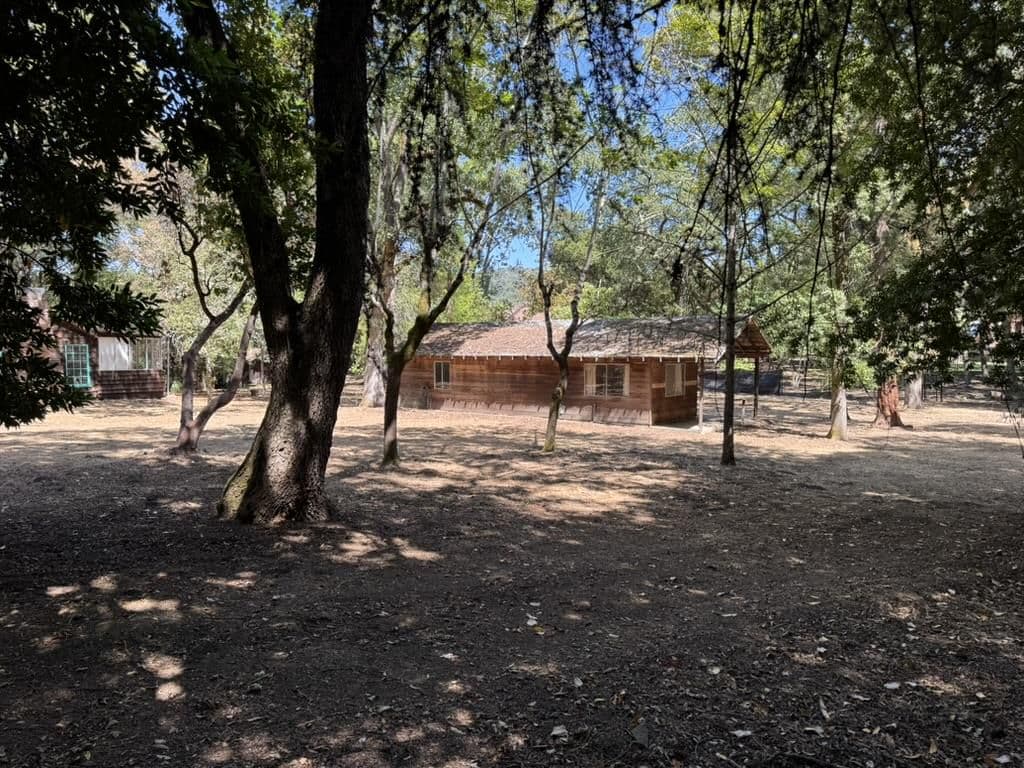 245 Bonita Road - Photo 4