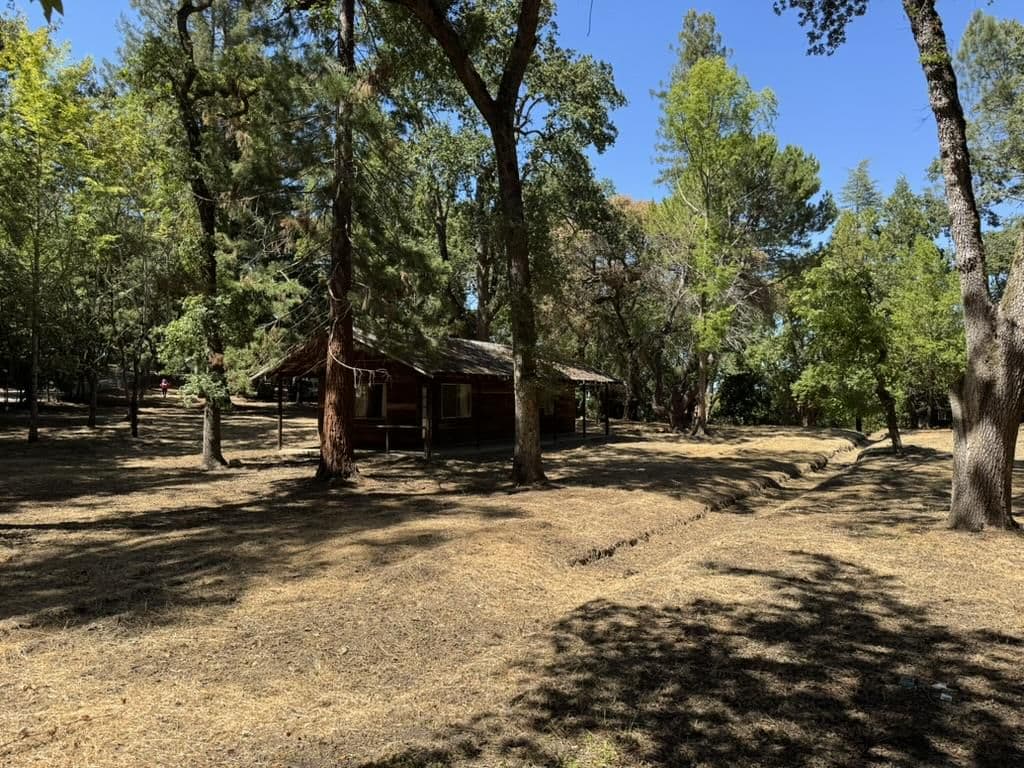 245 Bonita Road - Photo 5