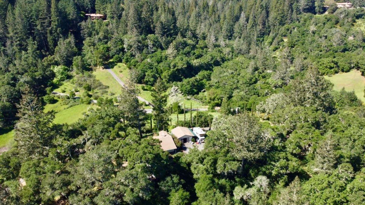 2346 Mill Creek Lane - Photo 2