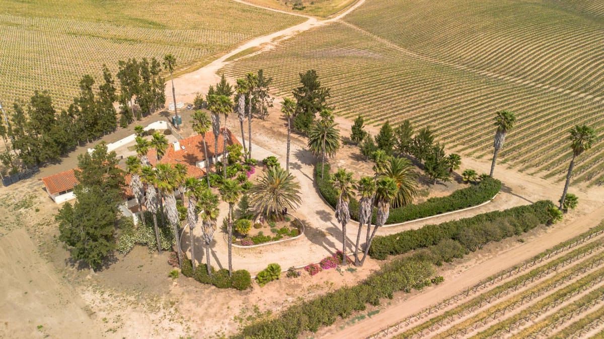 31021 Camphora Road - Photo 4