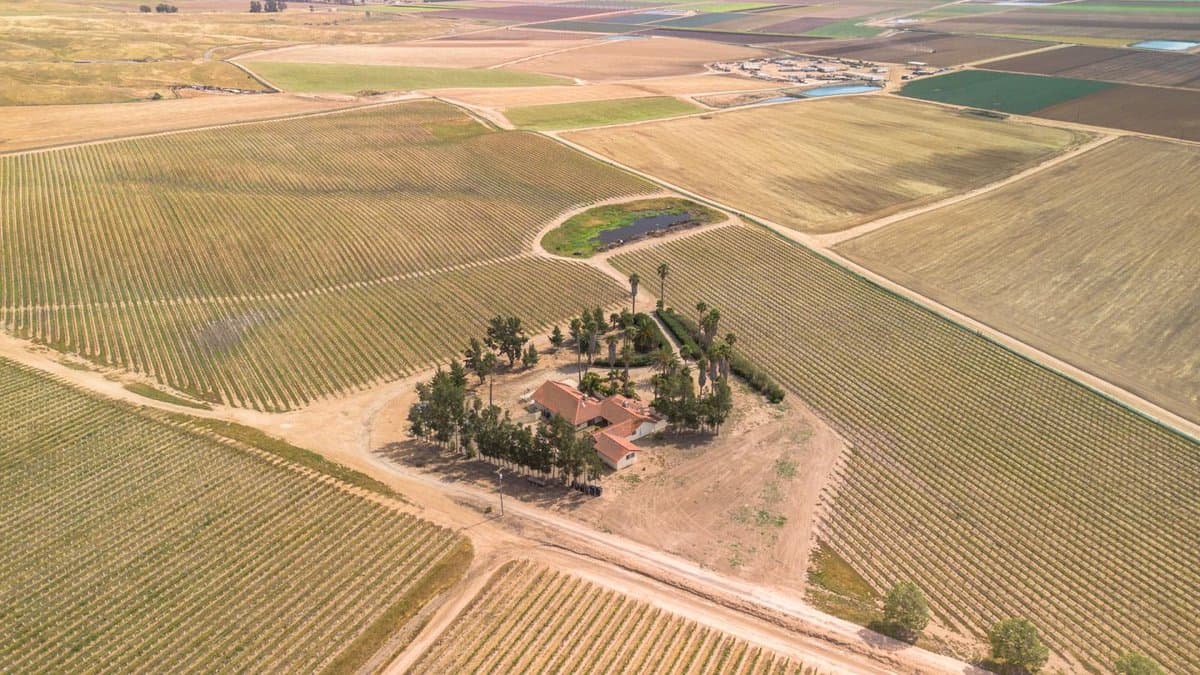 31021 Camphora Road - Photo 5