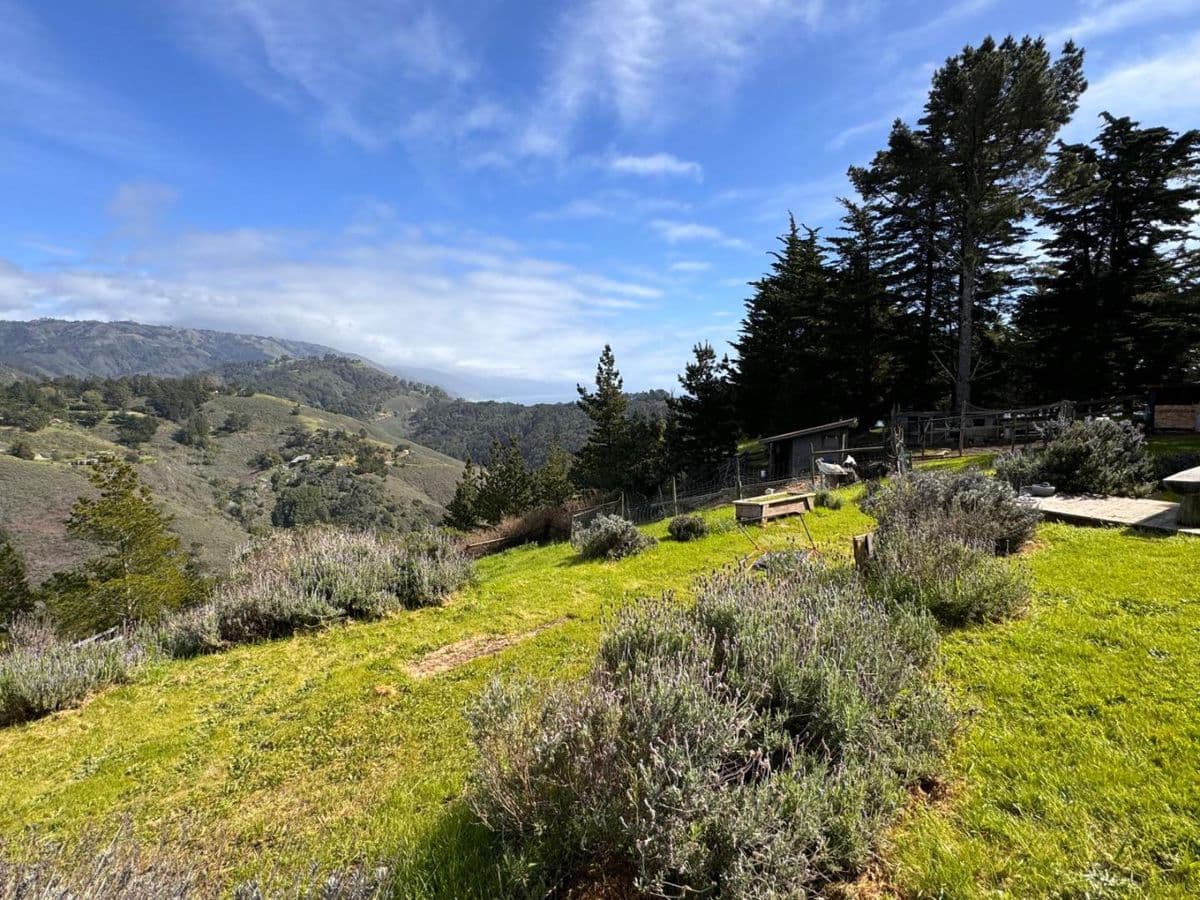 47011 Clear Ridge Road - Photo 3