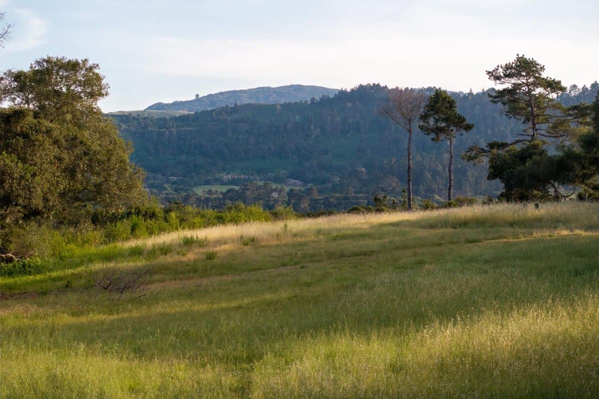 5155 Carmel Valley Road - Photo 2