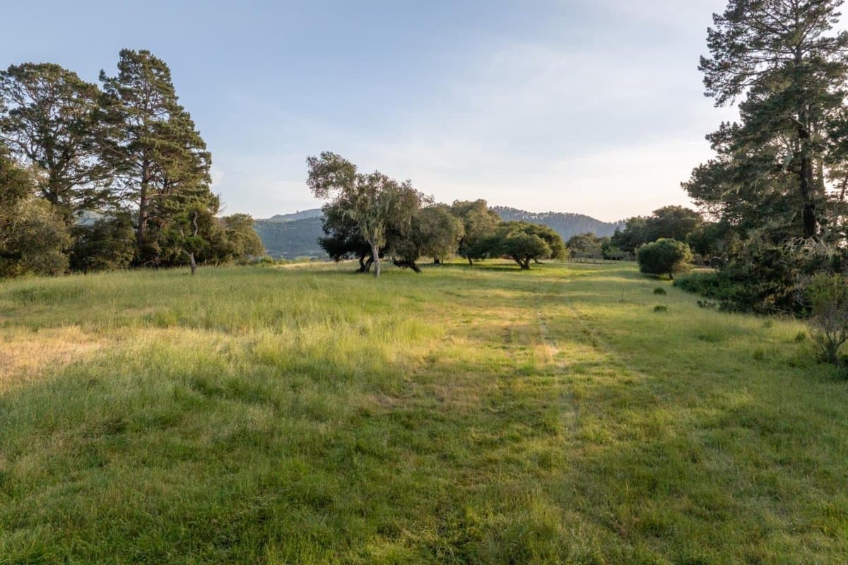 5155 Carmel Valley Road - Photo 3