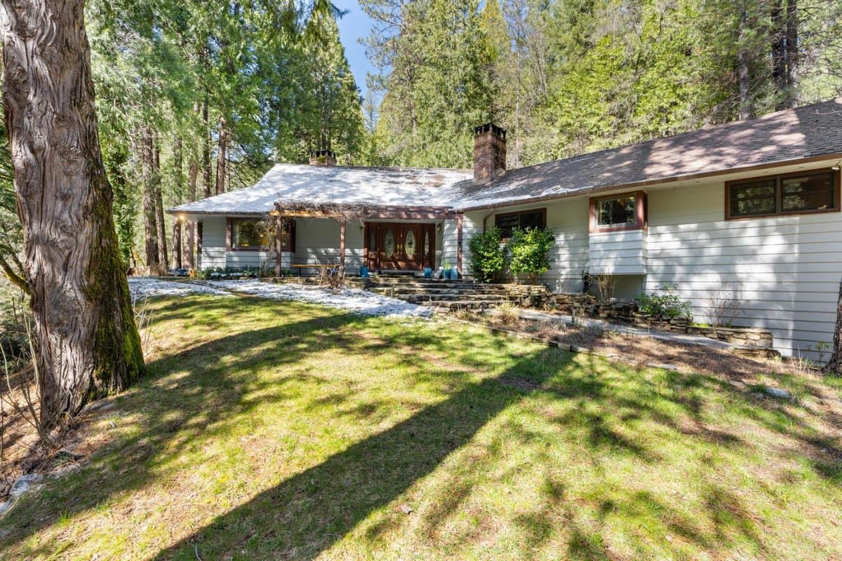 21791 Highway 49 - Photo 3