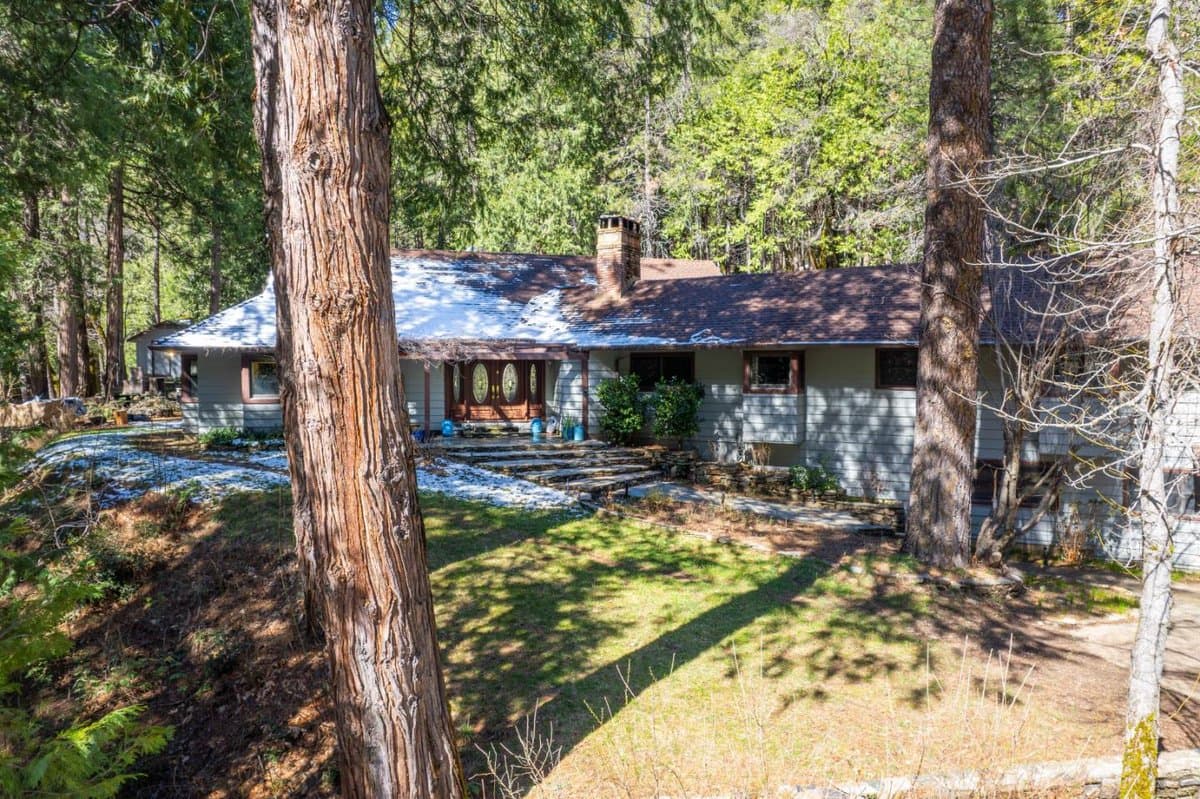 21791 Highway 49 - Photo 4