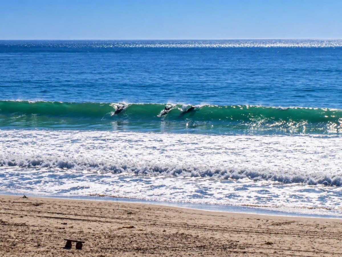 460 Oceanview Drive - Photo 3
