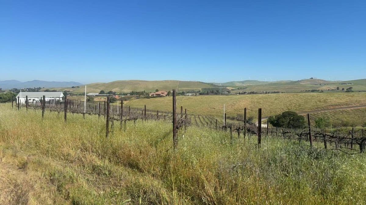 10011 Tesla Road - Photo 3