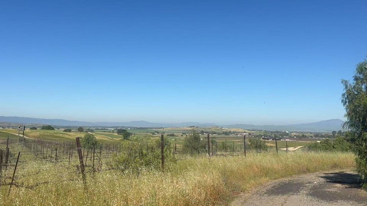 10011 Tesla Road - Photo 5
