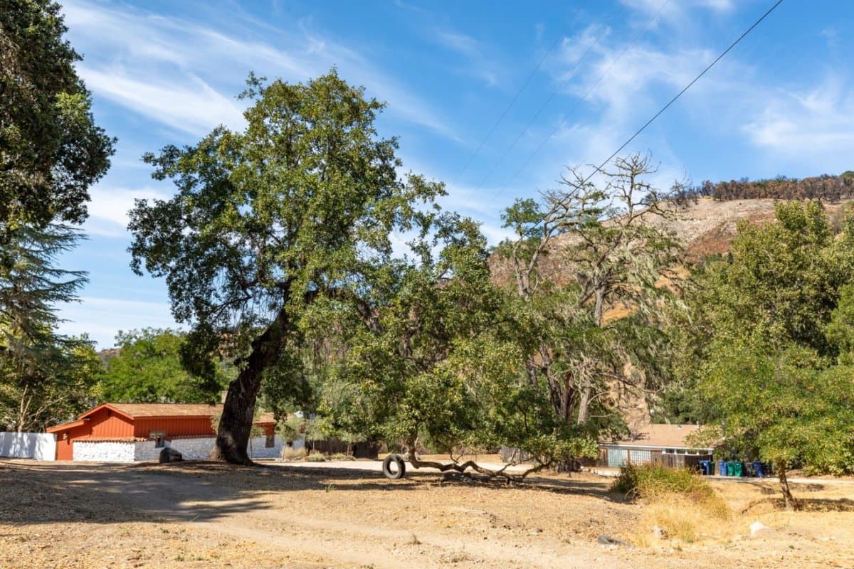 20500 CACHAGUA Road - Photo 3
