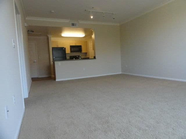 1550 Technology Drive #4059 - Photo 3