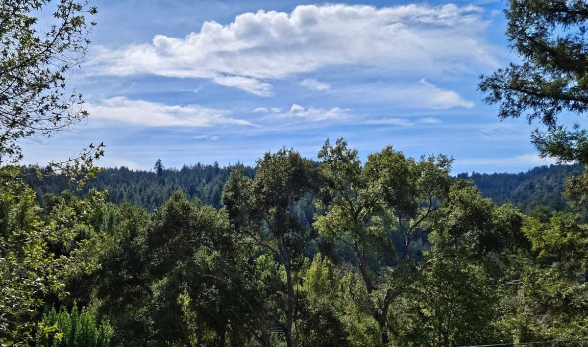 21386 Sunnyside Road - Photo 3