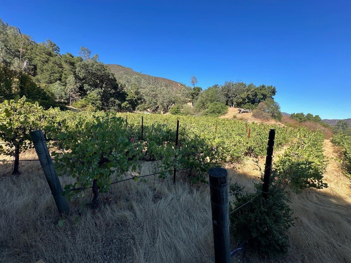 13160 Cienega Road - Photo 4