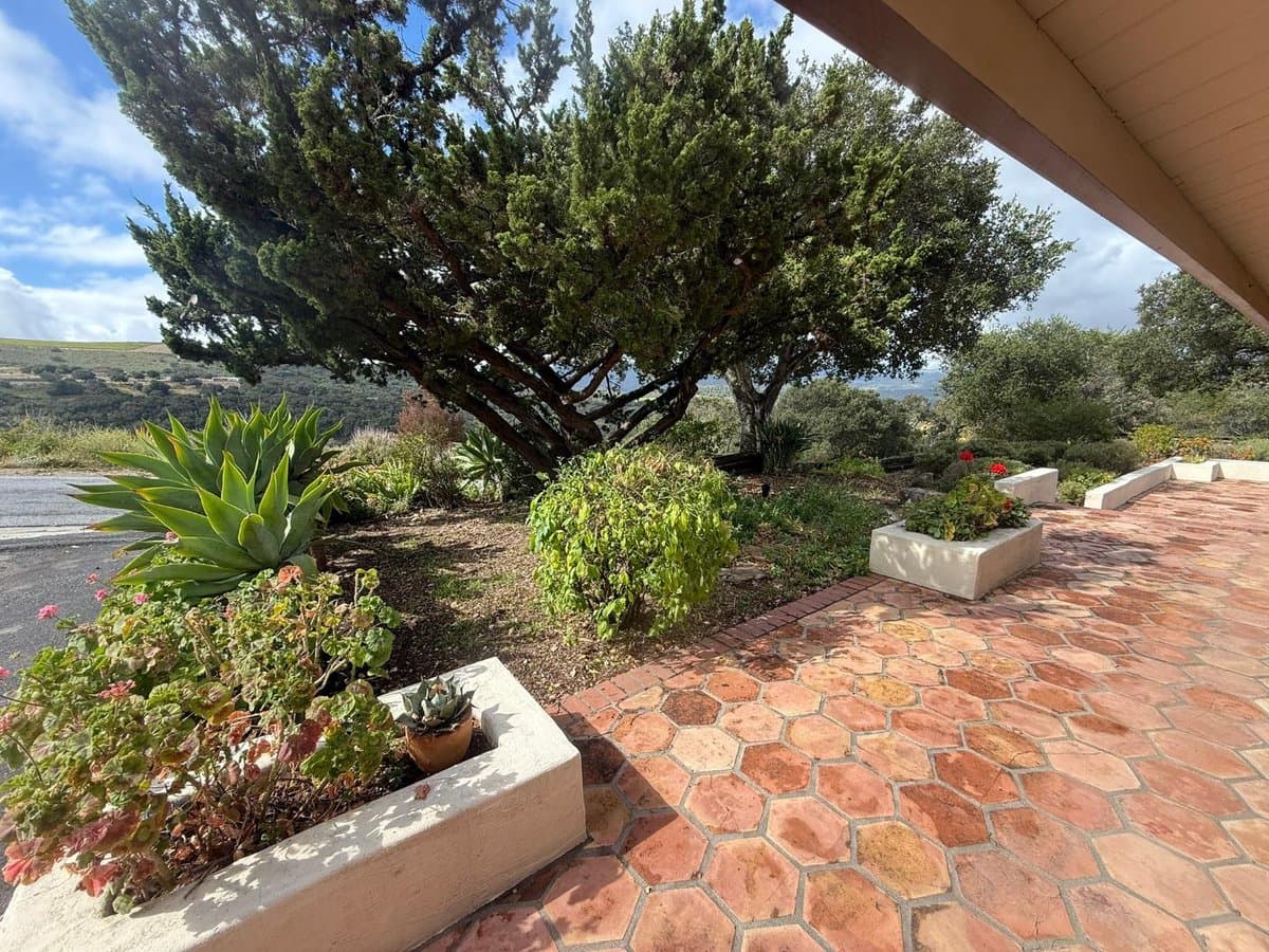 11585 Mccarthy Road - Photo 4