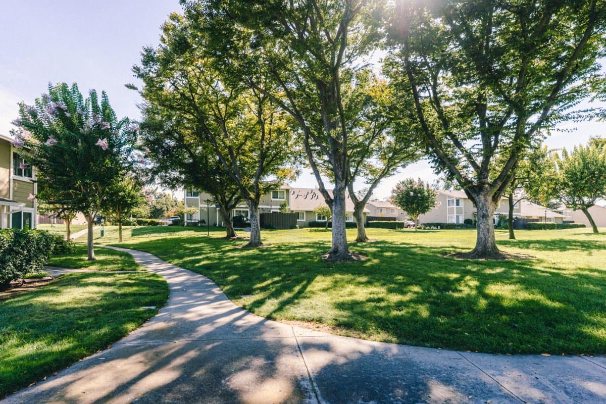 2227 Warfield Way #B - Photo 2