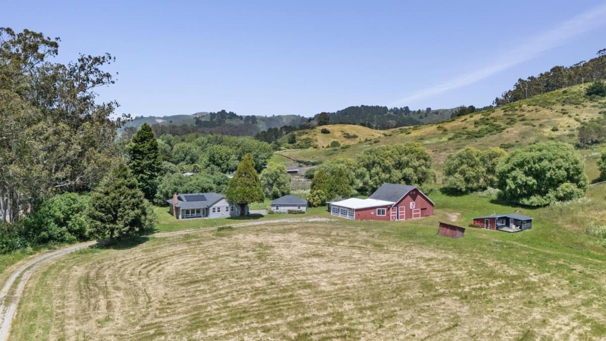 1650 Stage Road - Photo 2